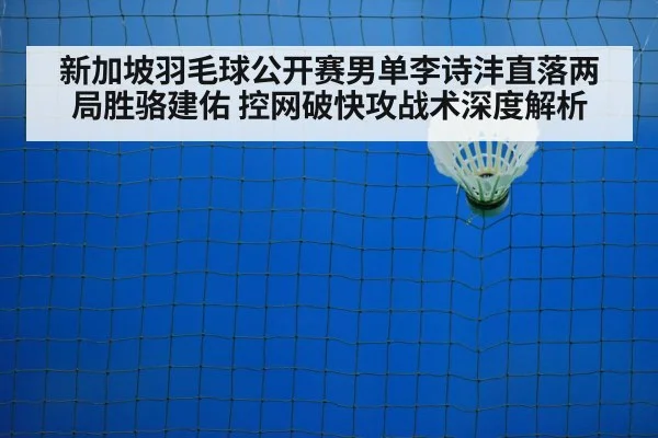 badminton net play
